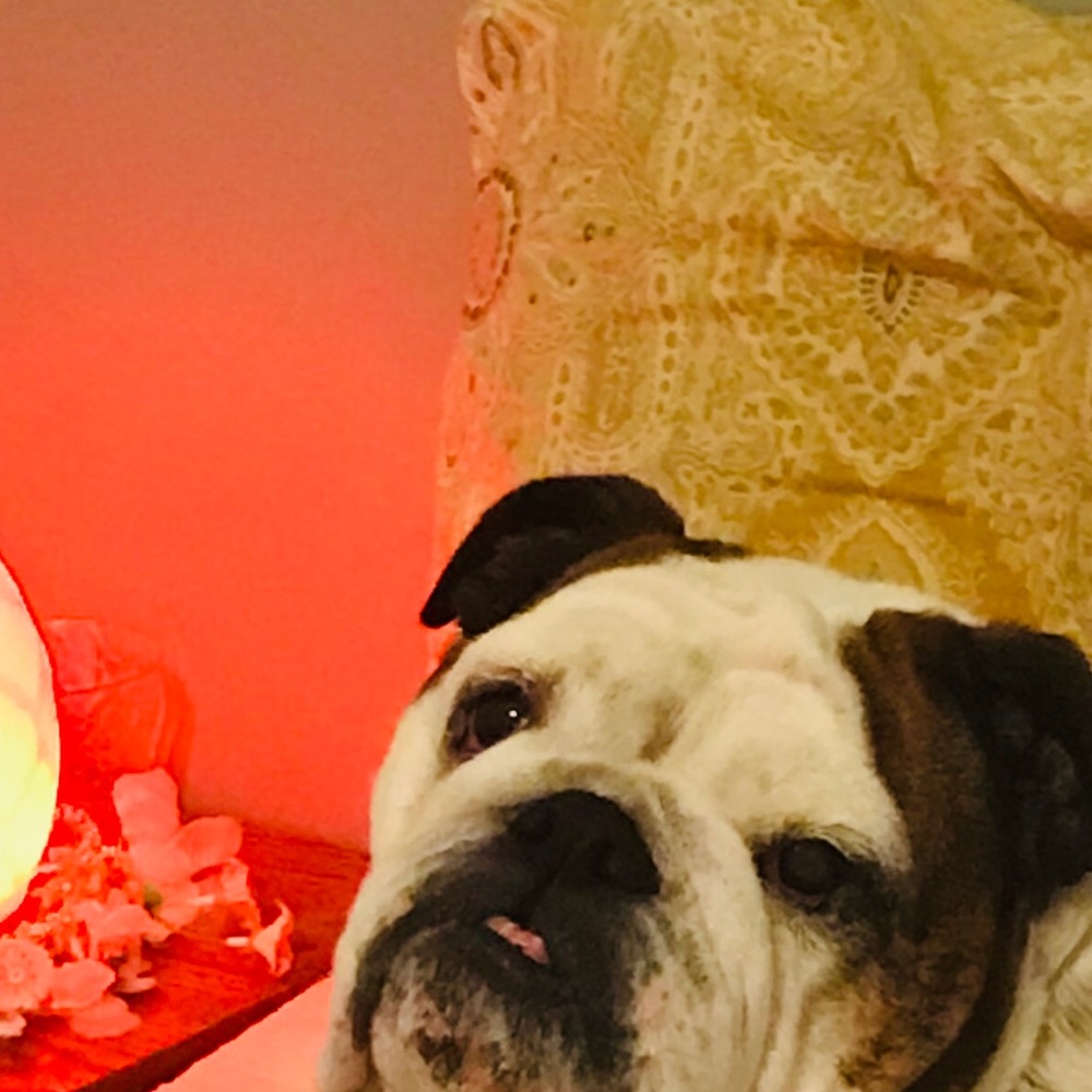 Meet your Posher, Rebecca